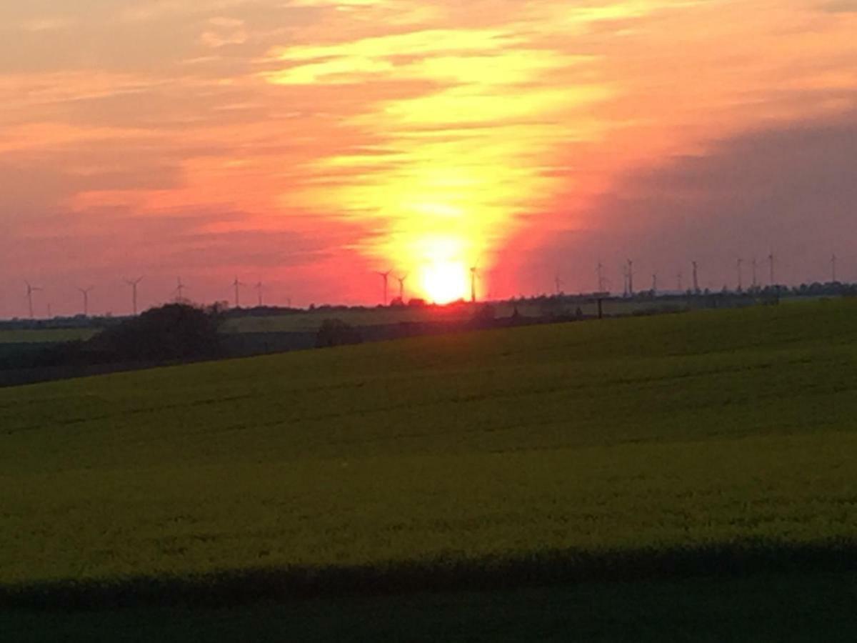 Ferienhaus Biene Wartin Kültér fotó